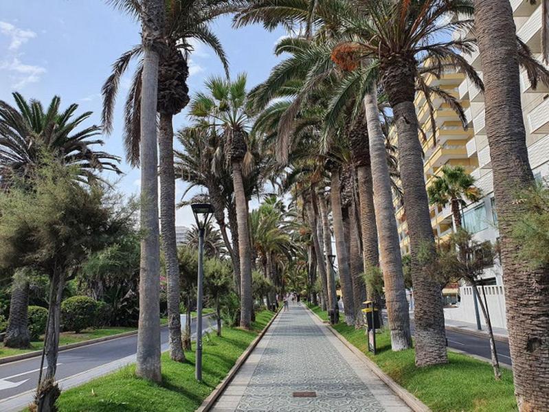 Апартаменты Apartamento Renovado, Frente A La Playa, Con Garaje Пуэрто-де-ла-Крус Экстерьер фото